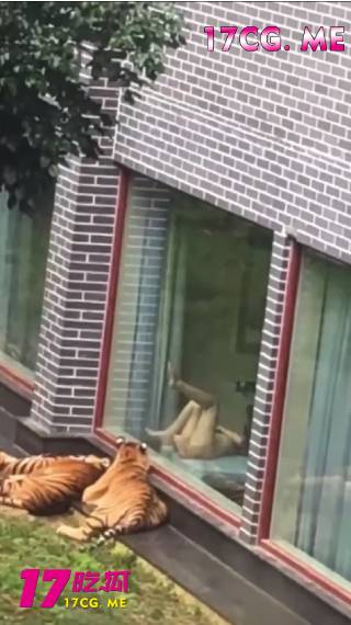 【奇葩吃瓜】广西平南雄景生态酒店 美女在窗前全裸 把逼给老虎看 也就是隔着玻璃,不然老虎应该是上了 【奇葩吃瓜】广西平南雄景生态酒店 美女在窗前全裸 把逼给老虎看 也就是隔着玻璃,不然老虎应该是上了