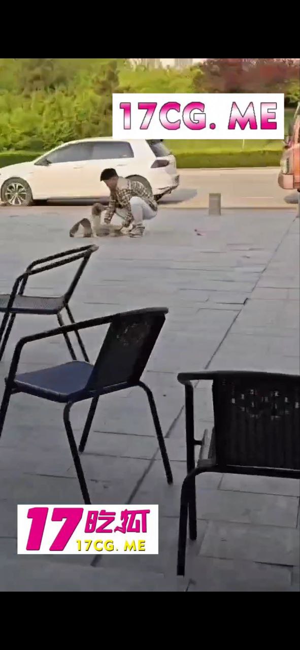 51001-3.jpg 51001-3.jpg