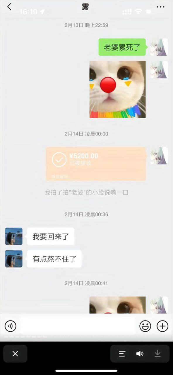 50309-6.jpg 50309-6.jpg