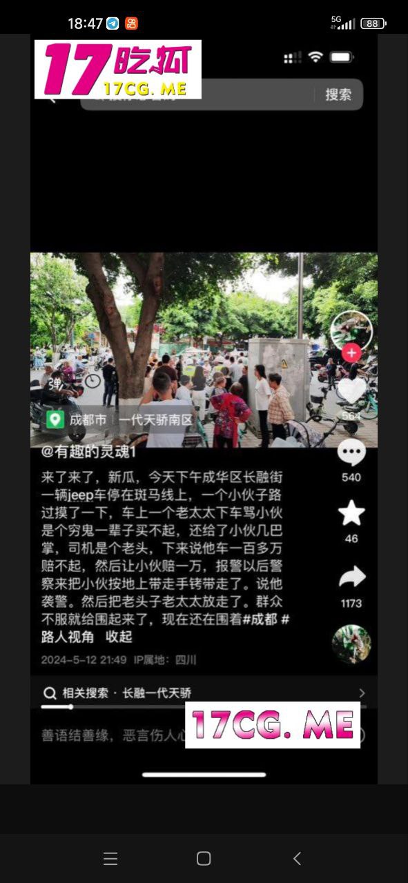 51319-1.jpg 51319-1.jpg