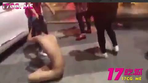 41502-3.jpg 41502-3.jpg