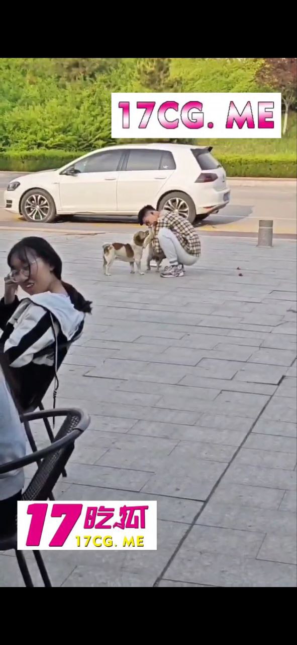 51001-2.jpg 51001-2.jpg