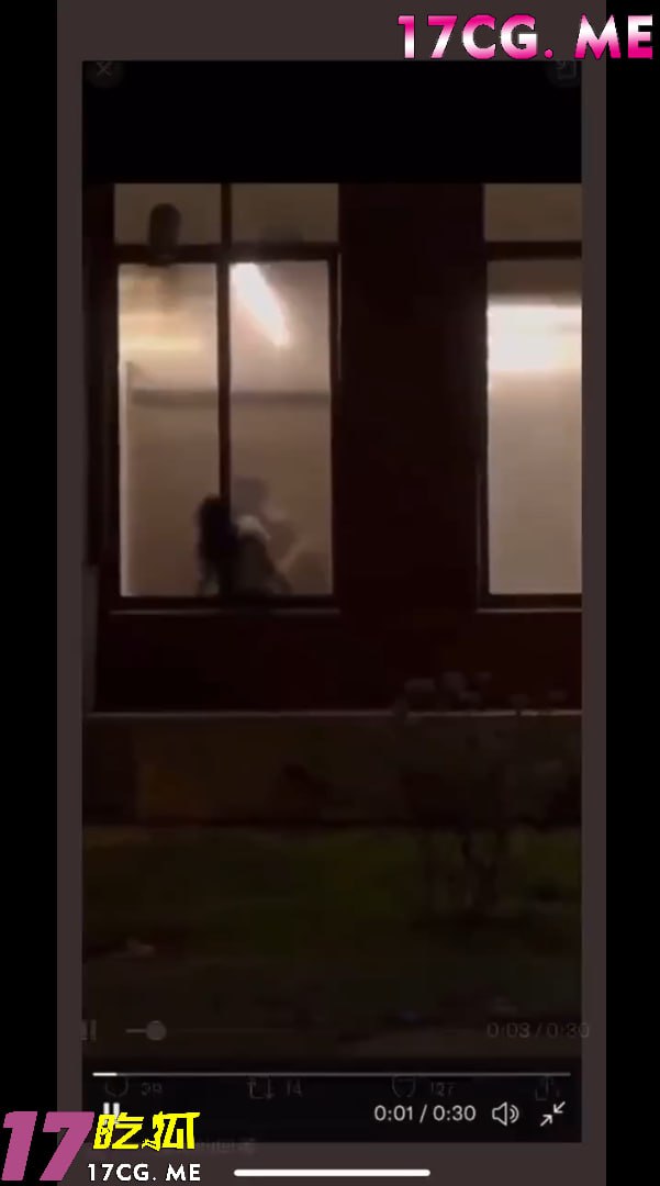 80305-2.jpg 80305-2.jpg