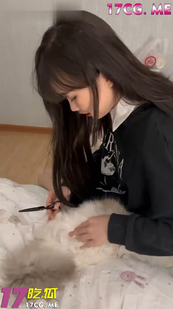 81308-2.jpg 81308-2.jpg