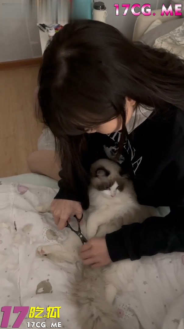 81308-1.jpg 81308-1.jpg